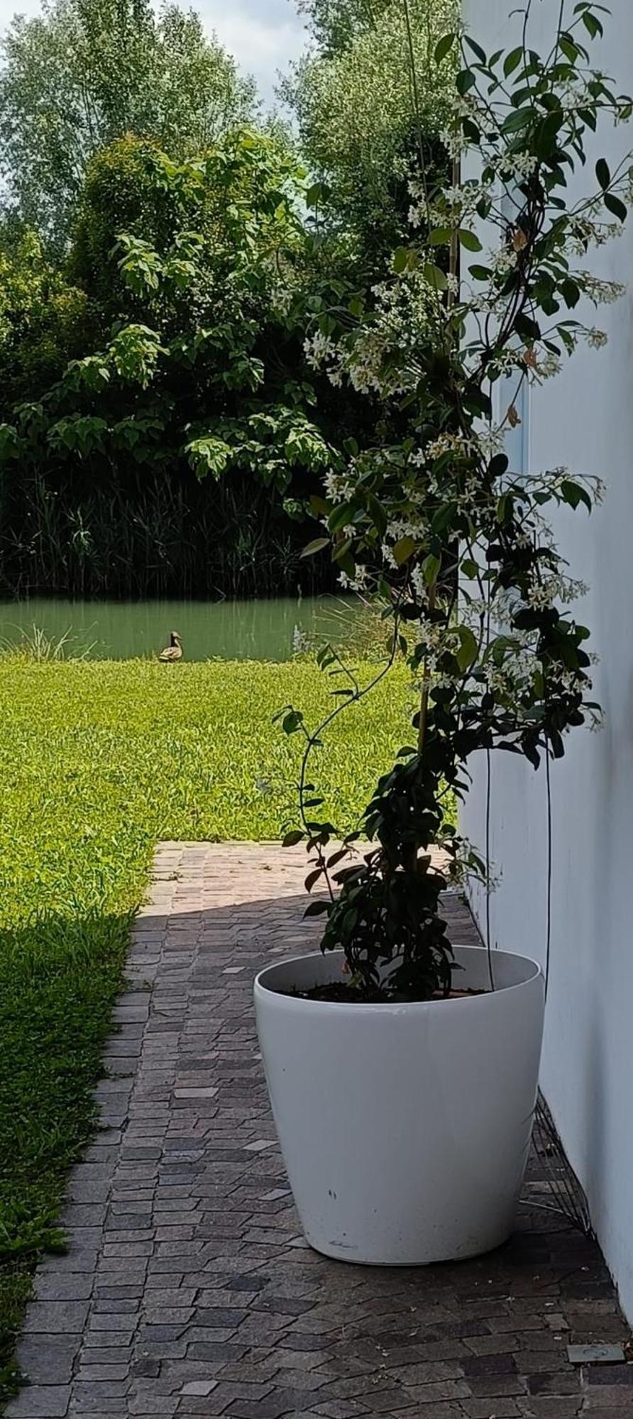 Hotel Locazione Riv'Al Sile Quinto Di Treviso Exterior foto